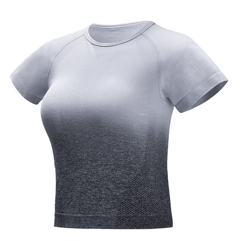 Seamless Gradient Short Sleeve